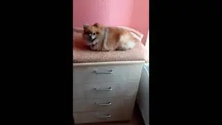 Amyposting - The Holy Loaf