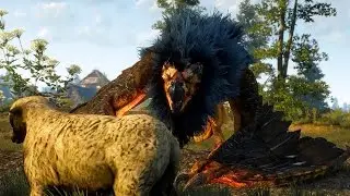 Witcher 3: Royal Griffin Boss Fight (Hard Mode) (4K 60fps)