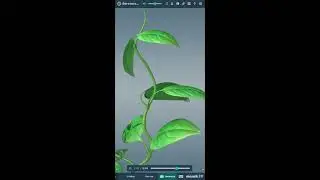 Mozaik 3D: Біологія_1