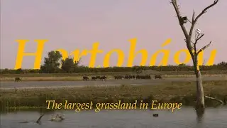 I spent a day at Hortobágy National Park in Hungary