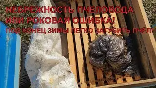 Как пчеловод теряет своих пчёл давая дотацию роковая ошибка пчеловода ✅☝️