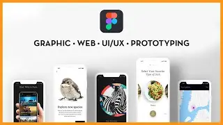 My FAVORITE design app! // The best free tool for any designer