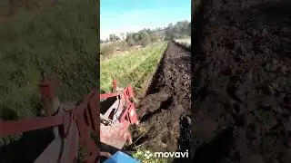 плуг лівосторонній