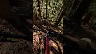 Unrelenting technical section of trail!