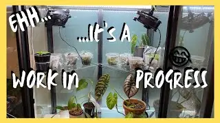 Some Updates for my Milsbo Cabinet  ||  Indoor Plant Greenhouse