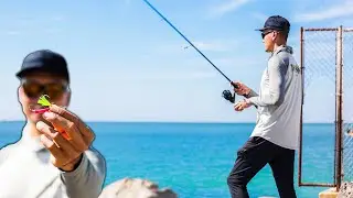 Started Fishing Jigs Off the Beach and Caught This! (Saltwater Fishing)