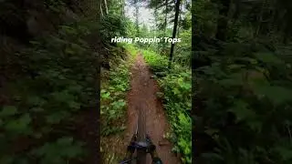 Must ride trail in Seattle area!