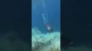 Moment Rare 7.2 Magnitude Earthquake Strikes Underwater | 10 News First