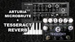 Arturia MICROBRUTE + Tesseract Reverb