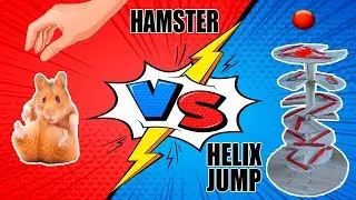 Hamster vs spiral jump. Hamster VS Helix Jump. DIY Hamster toy