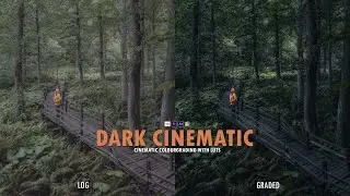 Dark Cinematic lut pack | Free Luts Pack | Color grading with luts on mobile (VN Video Editor)