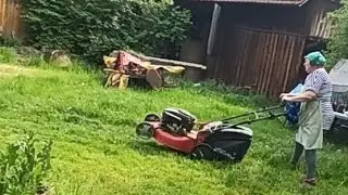 Высилила Цыплят на улицу.Поругалась с газонокосилкой.