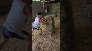 Укратитель тюков/Клуб