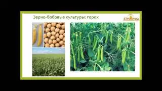 Видеокурс "Технология бинарных посевов в системе No-till" Лекция №4  часть 4.2