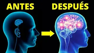 26 Ways to Increase Your Intelligence and Creativity➡️Einstein Habits🧠