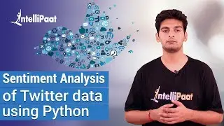 Sentiment Analysis Python | Twitter Sentiment Analysis Python | Intellipaat