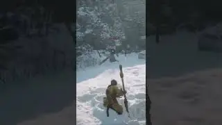 Monkey Sounds Caught In 4K