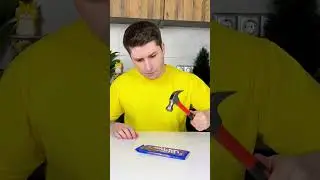 Кот обменял шоколад на телефон своего хозяина 🍫    