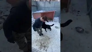 Съездили в собачий приют в д.Ковали. Покормили собачек. Спасибо всем друзьям кто поддержал 🤝