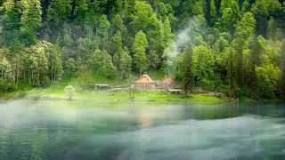 Natural Landscape Video Background (01) Foggy Lake Forest | HD No Copyright