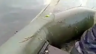 рыбалка сетями караси