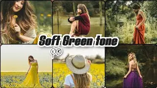 Soft Green Tone - Green tone Lightroom Mobile presets / Moody green preset / Green tone filter