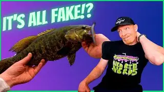 Am I A LIAR!?