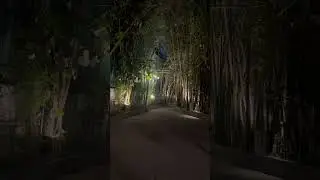 #rishikesh #resort