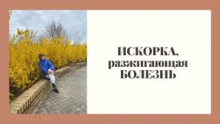 "Болезнь: Как предотвратить"