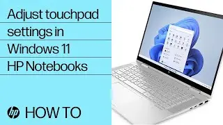 How to adjust touchpad settings in Windows 11 | HP Notebooks | HP Support