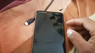 comparamos una alexa