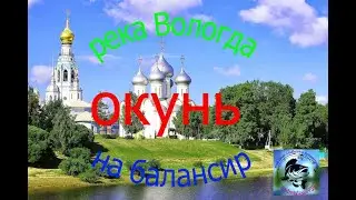 окунь и щука на балансир Рыбалка на реке Вологда.Суперклев.