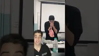 How much Air can the Lungs Hold