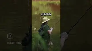 Only the simple things.