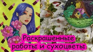 Итоги недели №63. Хобби влог
