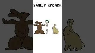 А вы знаете как различить кролика и зайца?  