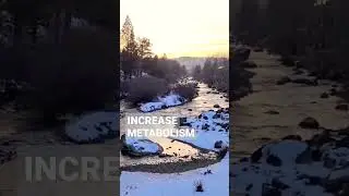 Nature's health benefits