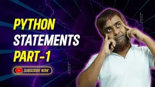 What is Python Statements?