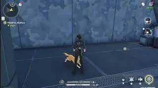 Best feature in Wuthering Waves