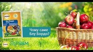 Блу Бордо – натуральний фунгіцид для плодових та овочевих культур