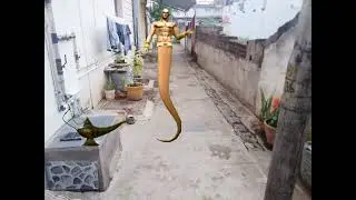 green screen genie