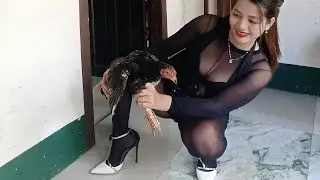 For Today's video , Mag ihaw ta ug black chicken