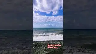 Море 8 октября Сочи Хоста. Волнуется морюшко   #shorts #море #сочи