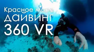 египет шарм-эль-шейх, дайвинг 360VR