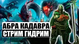 Гидро Душка | Обкатка пака | Общение и помощь по игре | RAID:Shadow legends