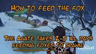 Genshin Impact- How to Feed the Fox- 80th Agate