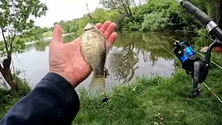Убийца карася работает ловля карпа и карася, Рыбалка по простому, fishing club