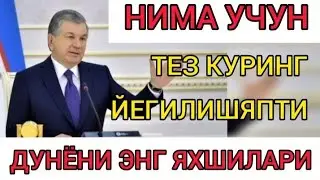 НИМА УЧУН! ТЕЗ КУРИНГ ЙЕГИЛИШЯПТИ ДУНЁНИ ЭНГ ЯХШИЛАРИ