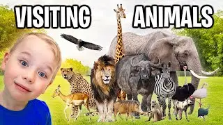 Gaby and Alex visiting ZOO ANIMALS (For Kids)