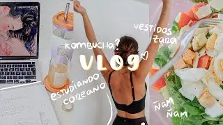 vlogs semanales, tareas de casa, estudio coreano, vestidazos de fiesta  l lau